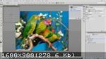   Adobe Photoshop CC 2014.2.2 [20141204.r.310] [25.04.2015] (2014) PC | RePack by D!akov